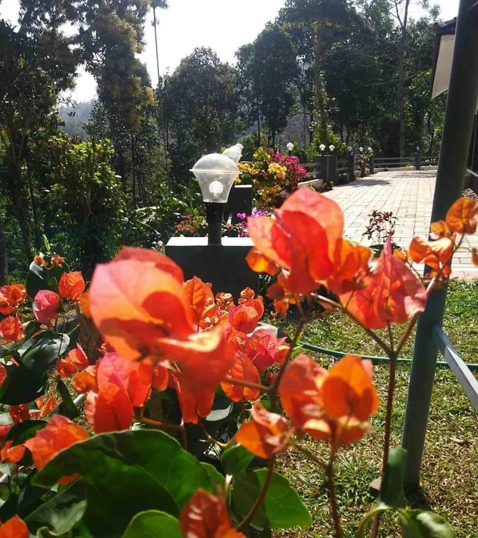 Navaratna Holiday Homestay Vagamon Indien